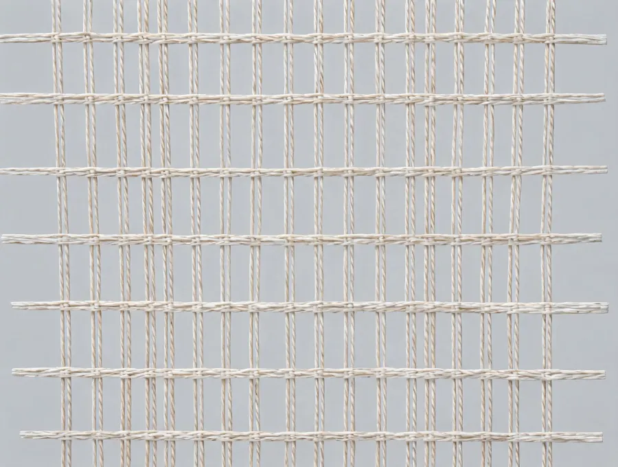 Warp and weft reinforcement prepared for coated membrane production